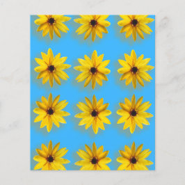 Solsken och lycka flygblad