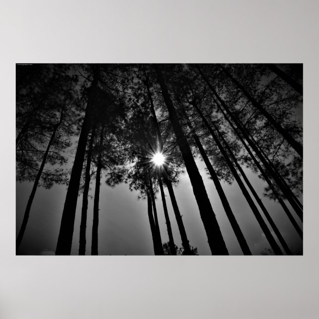 Solsken Poster (Framsidan)