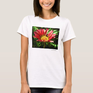 Solsken Tee