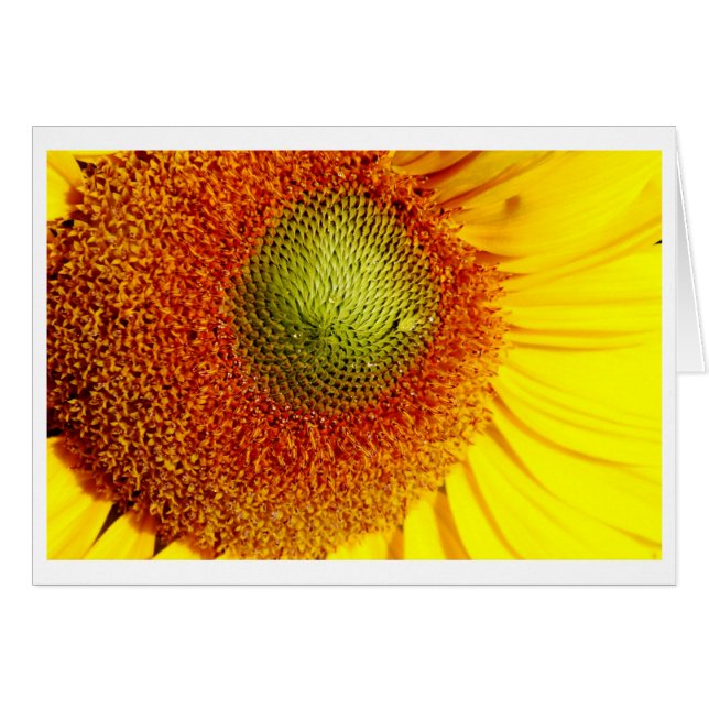 Solskenscentrum Hälsningskort (Framsidan Horizontal)