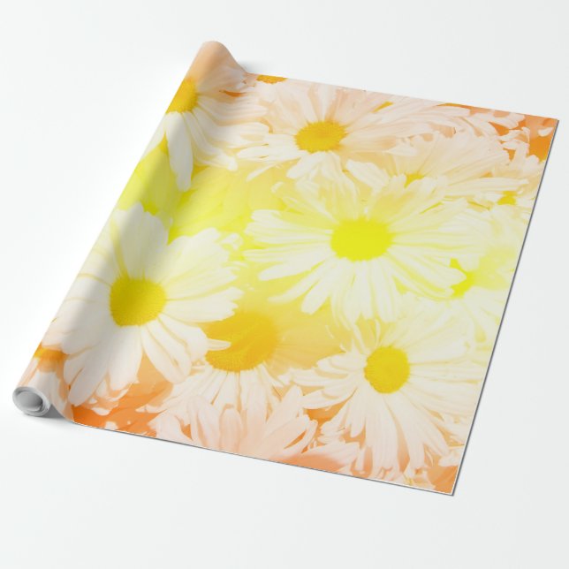 SolskensDaisy Presentpapper (Utrullad)