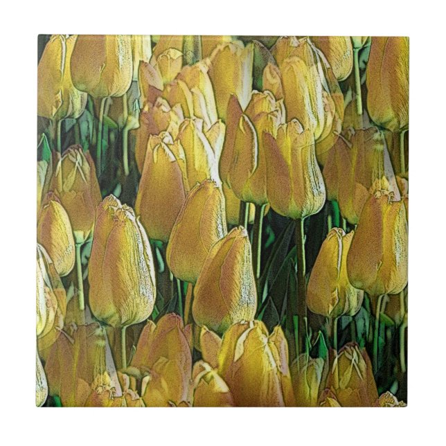 Solskenstulips, Gult Kakelplatta (Framsidan)