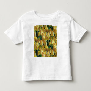 Solskenstulips, Gult T Shirt