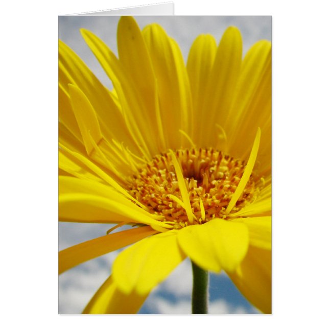 Solskin Hälsningskort (Framsidan)