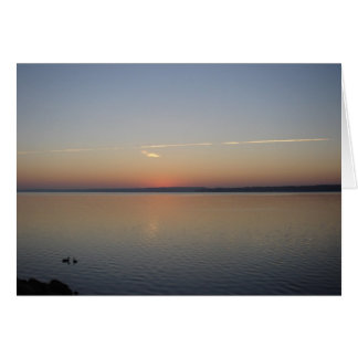 Solskin Hälsningskort