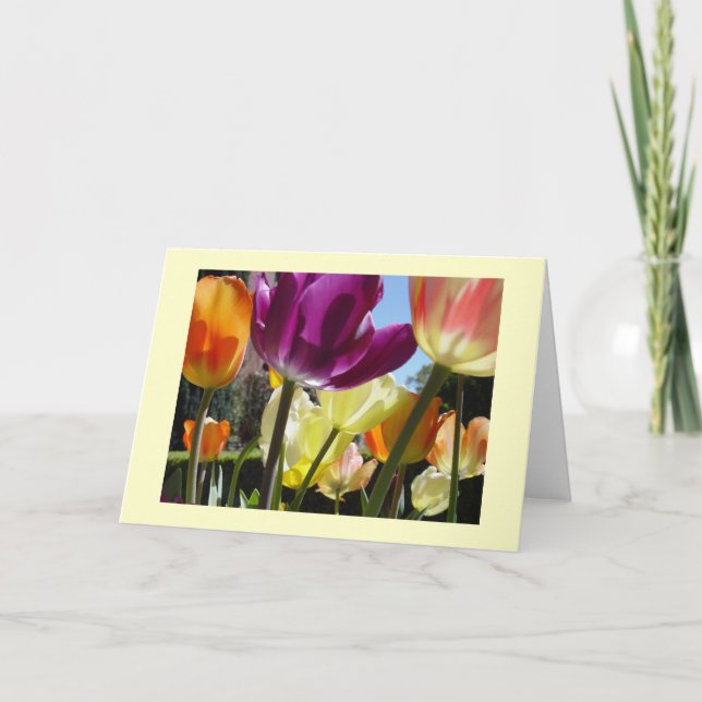 Solskin Kort (Framsida)