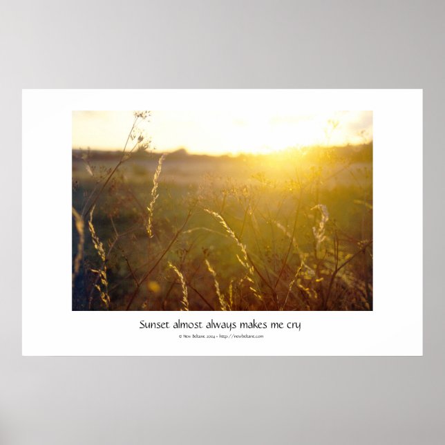Solskin Poster (Framsidan)