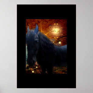 Solskin - Poster