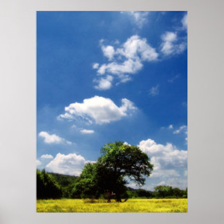 Solskin Poster