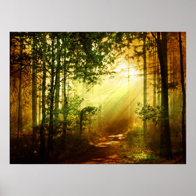 Solskyddsfågel Poster (Framsidan)