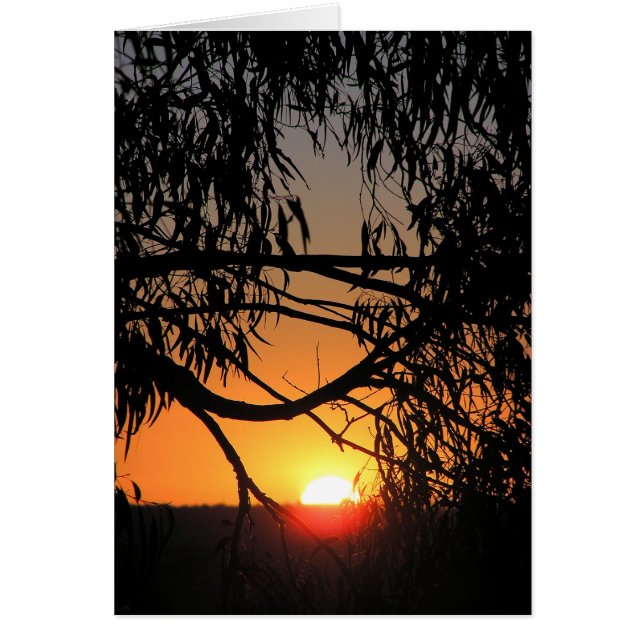 Solskyddskort Hälsningskort (Framsidan)