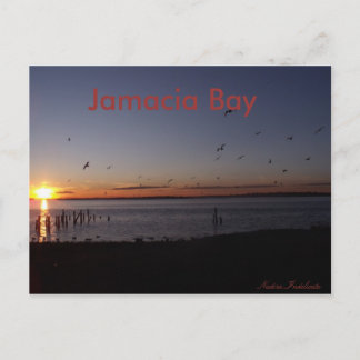 Solskyddskort Vykort