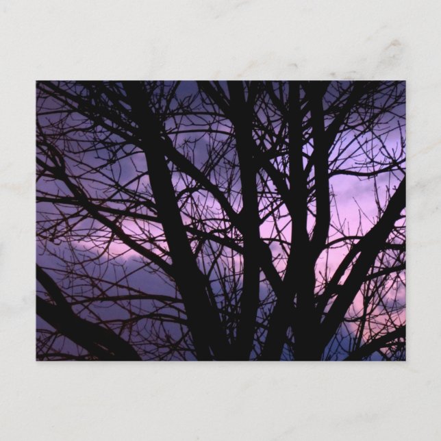 Solskyddskort Vykort (Framsida)