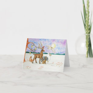 Solstice Magic Tack Kort