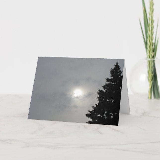 Solstice Sol II Kort (Framsida)