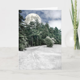 Solsticefullmåneslinga till skogen kort