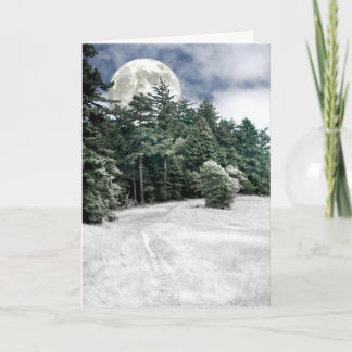 Solsticefullmåneslinga till skogen kort