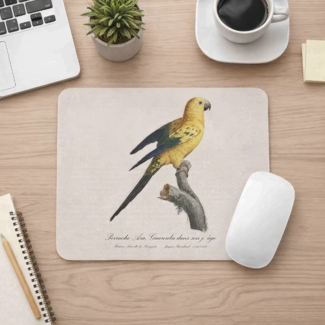 Solsticeparakit eller Solfjäderstjärtad aratinga A Musmatta (Guarouba dans sons jeune age / Sun parakeet. Mouse Pad)