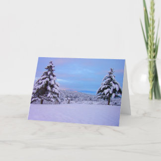 Solsticeskymning av Cynthia Wenslow Kort