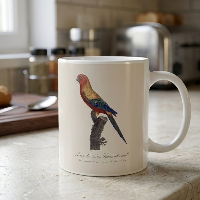 Solstiskköttori, Aratinga solstitialis Kaffemugg (Sun Parakeet Male, Aratinga Solstitialis. Coffee Mug)