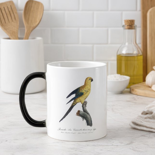 Solstiskonur Aratinga solstitialis Magisk Mugg (Guarouba dans sons jeune age / Sun parakeet. Color Morph Mug)