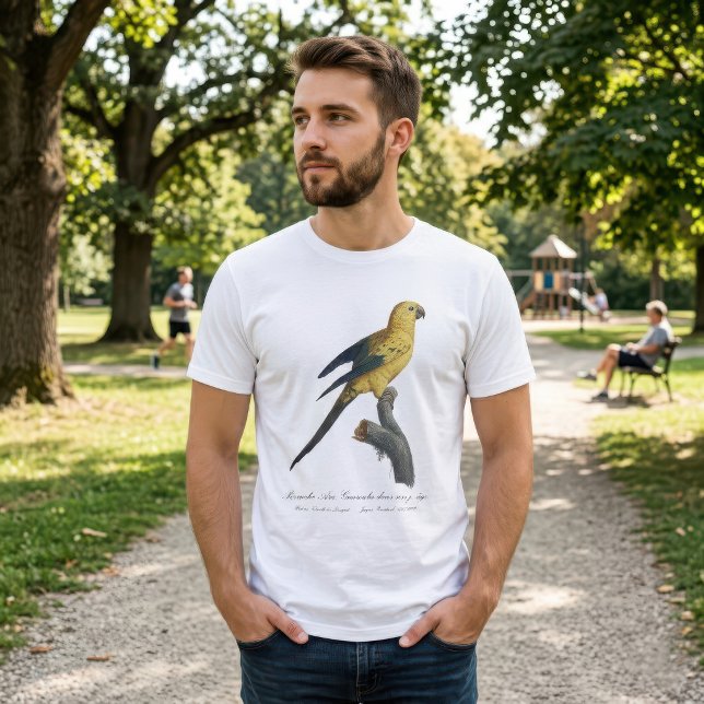 Solstiskonur Aratinga solstitialis T Shirt (Guarouba dans sons jeune age / Sun parakeet. Men Basic White T-Shirt)