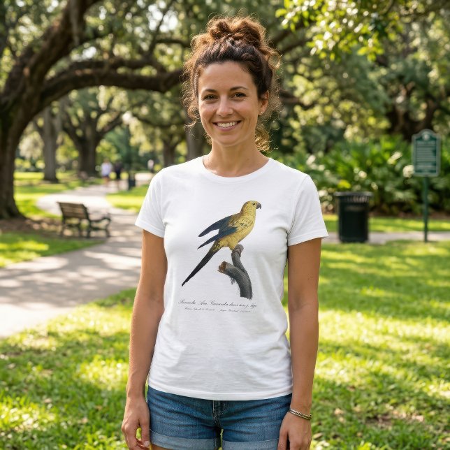 Solstiskonur Aratinga solstitialis T Shirt (Guarouba dans sons jeune age / Sun parakeet. Women Basic White T-Shirt)