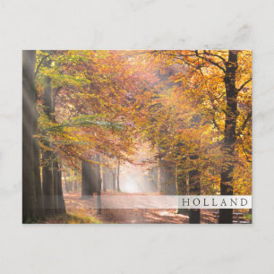 Solstrålar i höstskog, Holland pub vykort