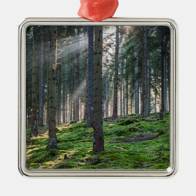 Solstrålar i Svarta skogen Julgransprydnad Metall (Framsidan)