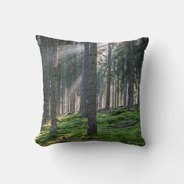 Solstrålar i Svarta skogen Kudde (Framsida)