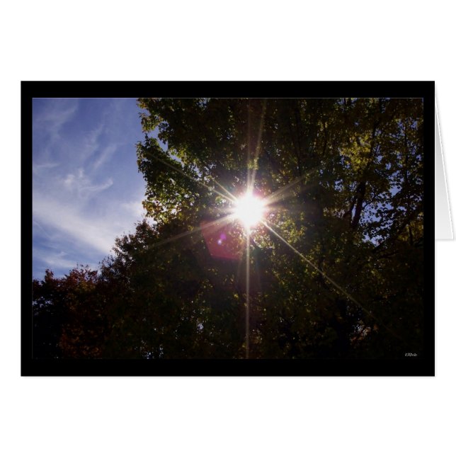 Solstrålar (kanterad svart) hälsningskort (Framsidan Horizontal)