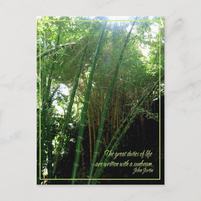 Solstråle Vykort (Framsida)