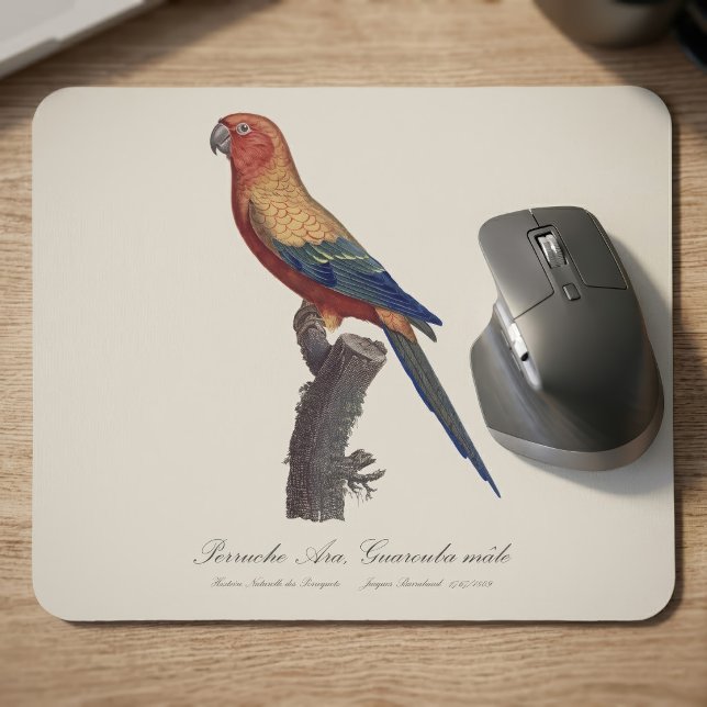 Solstråleara, Aratinga solstitialis Musmatta (Sun Parakeet Male, Aratinga Solstitialis. Mouse Pad)