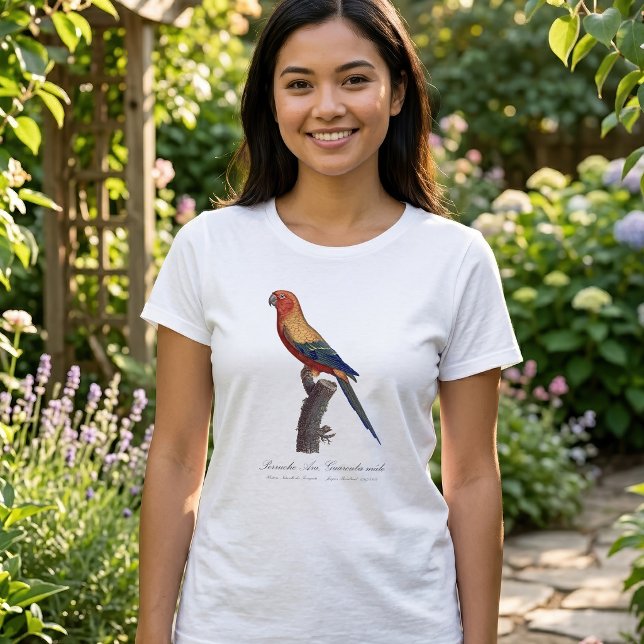 Solstråleara, Aratinga solstitialis T Shirt (Sun Parakeet Male, Aratinga Solstitialis. Women Basic White T-Shirt )