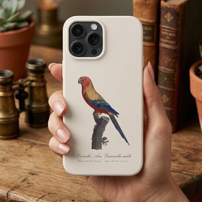Solstråleara Hane, Aratinga Solstitialis (Sun Parakeet Male, Aratinga Solstitialis. iPhone Case)