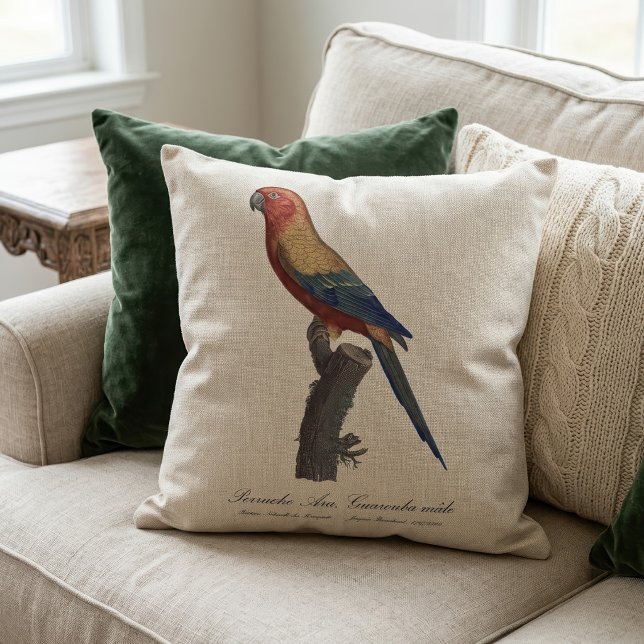 Solstråleara Hane, Aratinga Solstitialis Kudde (Sun Parakeet Male, Aratinga Solstitialis. Throw Pillow)