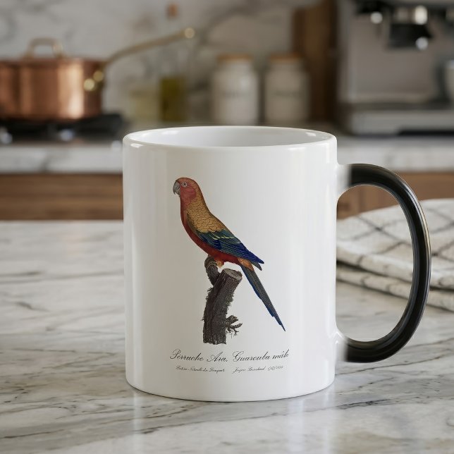 Solstråleara Hane, Aratinga Solstitialis Magisk Mugg (Sun Parakeet Male, Aratinga Solstitialis. Color Morph Mug)