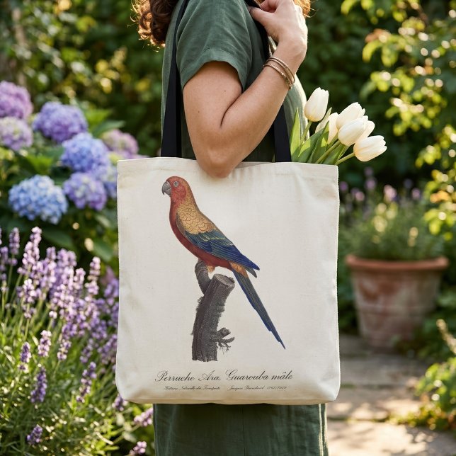Solstråleara Hane, Aratinga Solstitialis Tygkasse (Sun Parakeet Male, Aratinga Solstitialis. Tote Bag)