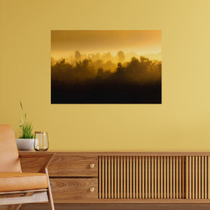 Soluppgång bakom dimma träd poster