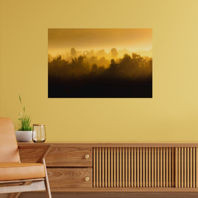 Soluppgång bakom dimma träd poster (Vardagsrum 2)