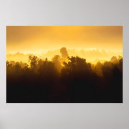 Soluppgång bakom dimmiga träd poster