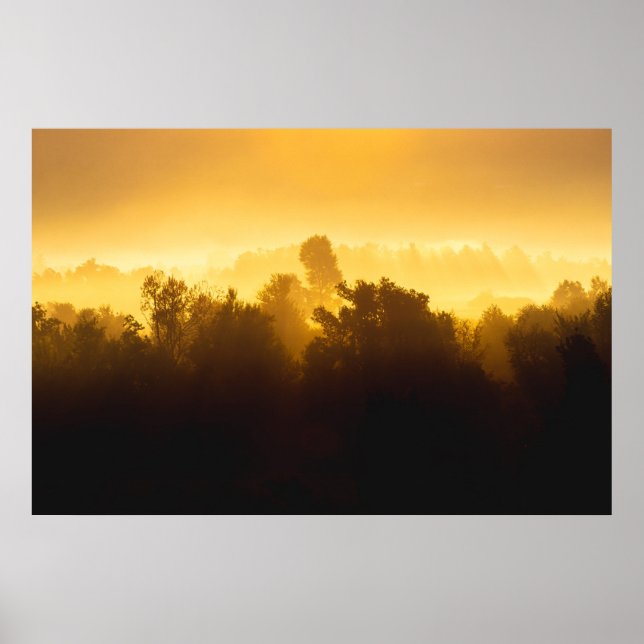 Soluppgång bakom dimmiga träd poster (Framsidan)