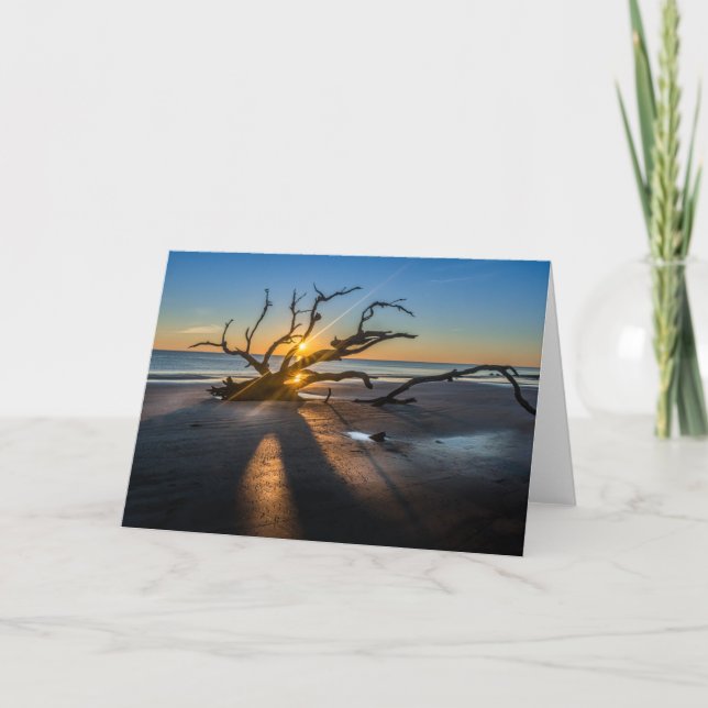 Soluppgång Beach Scene med drivved - blank Kort (Framsida)