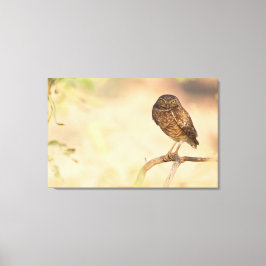 Soluppgång Burrowing Uggla Canvastryck