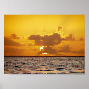 Soluppgång, drunknade dagar, Belize Poster