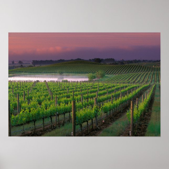 Soluppgång färg i den avlägsna dimman bakom poster (Framsidan)