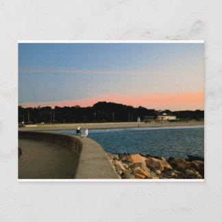 Soluppgång Fiskmås vykort