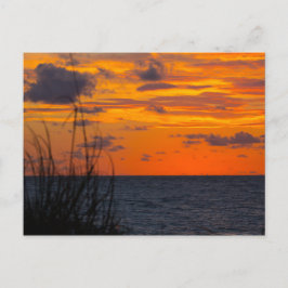 Soluppgång, Fort Pierce, Florida Vykort