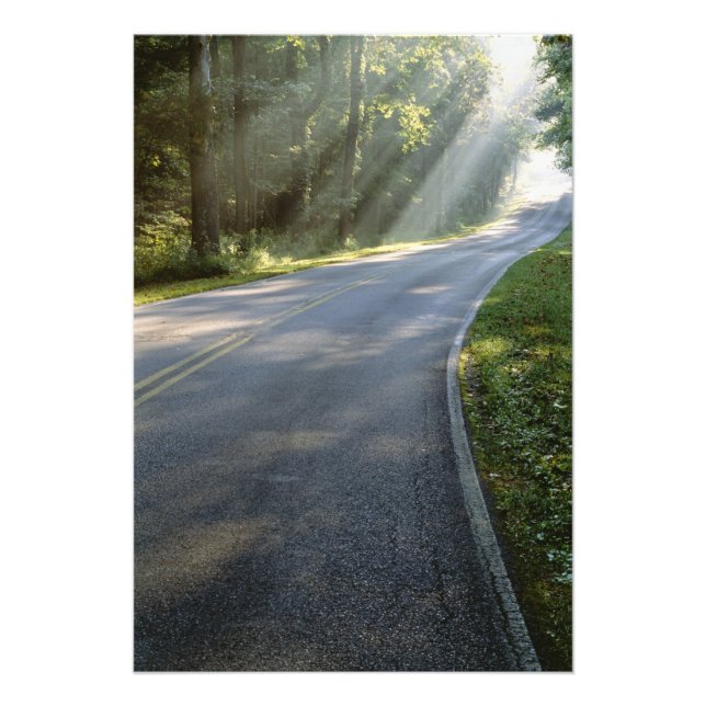 Soluppgång genom dimma bredvid Grönten River Fototryck (Framsidan)