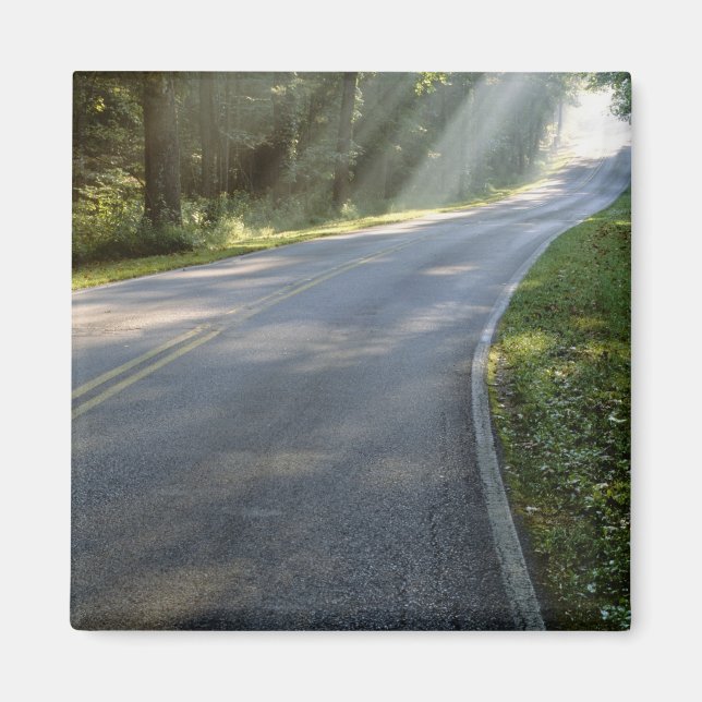 Soluppgång genom dimma bredvid Grönten River Magnet (Framsidan)